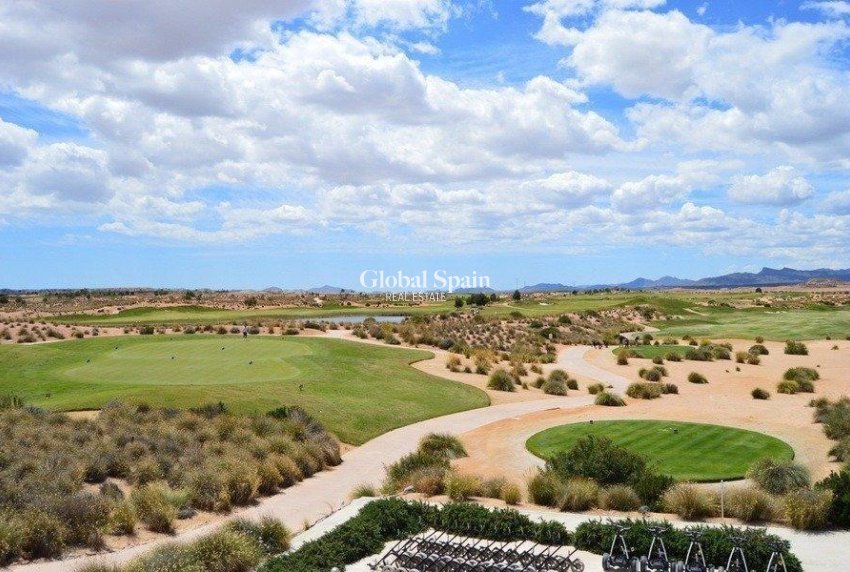 Nueva construcción  - VILLA -
ALHAMA DE MURCIA