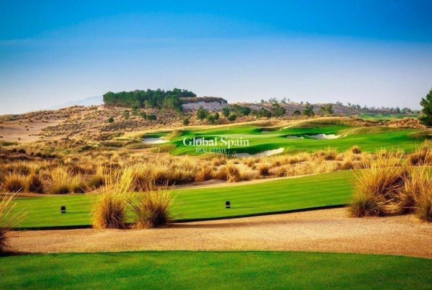 Nueva construcción  - VILLA -
ALHAMA DE MURCIA