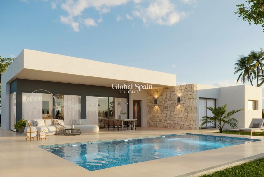 Nueva construcción  - VILLA -
ASPE - Poligono 19