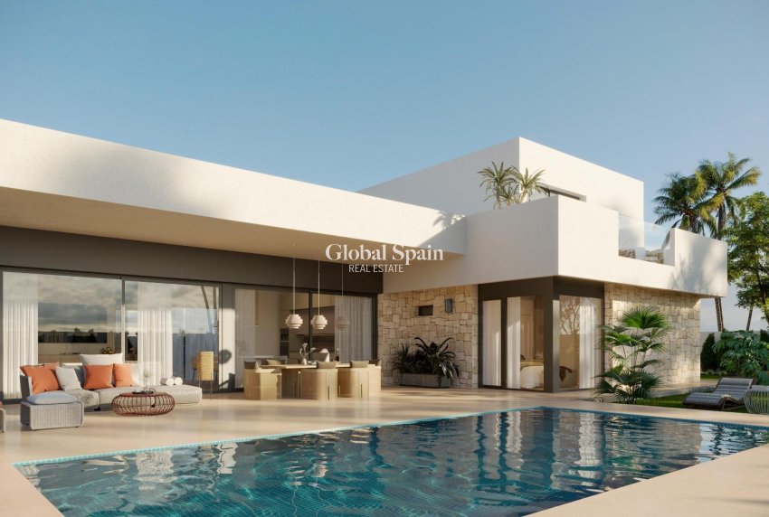 Nueva construcción  - VILLA -
ASPE - Poligono 19