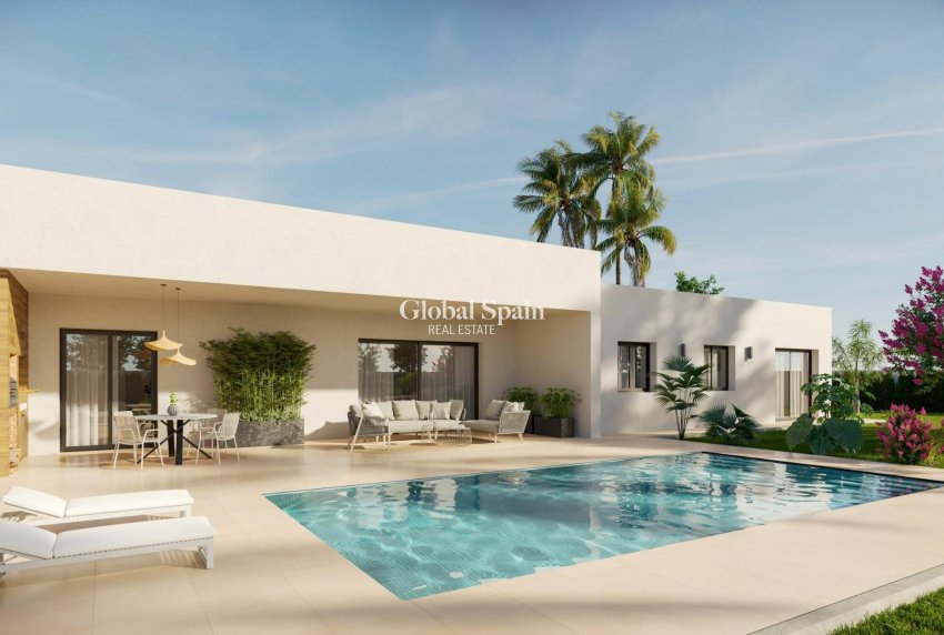 Nueva construcción  - VILLA -
ASPE - Poligono 19