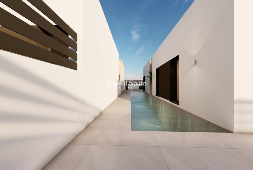 Nueva construcción  - Villa -
BENIJÓFAR - Urb. Monteazul