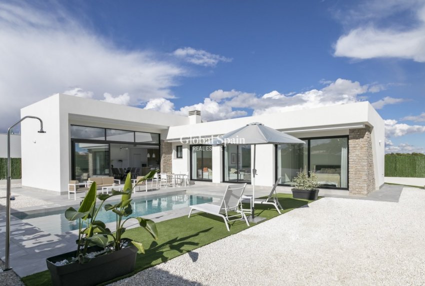 Nueva construcción  - VILLA -
CALASPARRA - Coto riñales