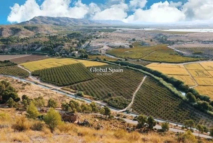 Nueva construcción  - VILLA -
CALASPARRA - Coto riñales