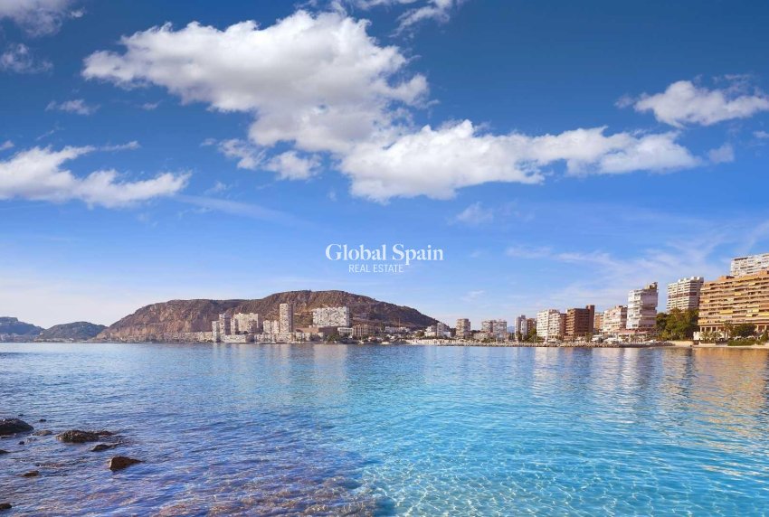 Nueva construcción  - Villa -
ELCHE - Partida Barranquets