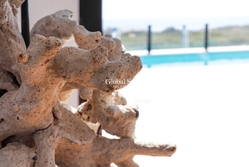 Nueva construcción  - Villa -
GUARDAMAR DEL SEGURA