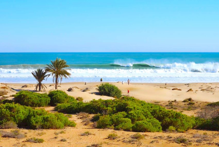 Nueva construcción  - Villa -
GUARDAMAR DEL SEGURA