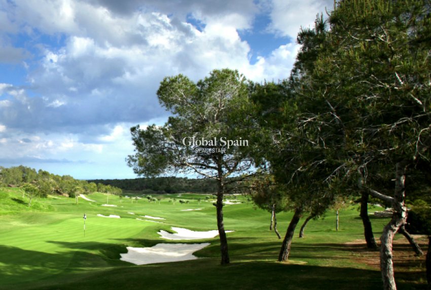 Nueva construcción  - Villa -
LAS COLINAS GOLF RESORT - Las Colinas Golf