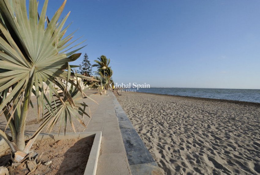 Nueva construcción  - Villa -
MURCIA