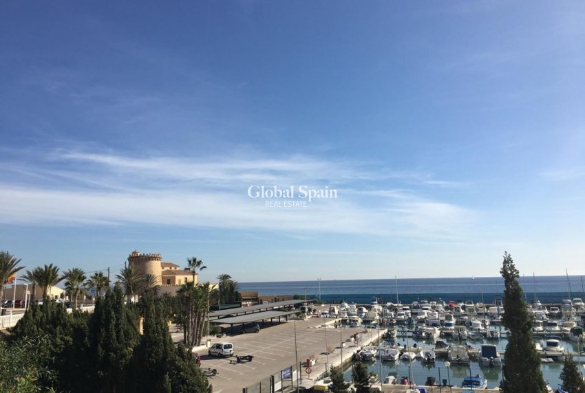 Nueva construcción  - Villa -
PILAR DE LA HORADADA - Las Higuericas