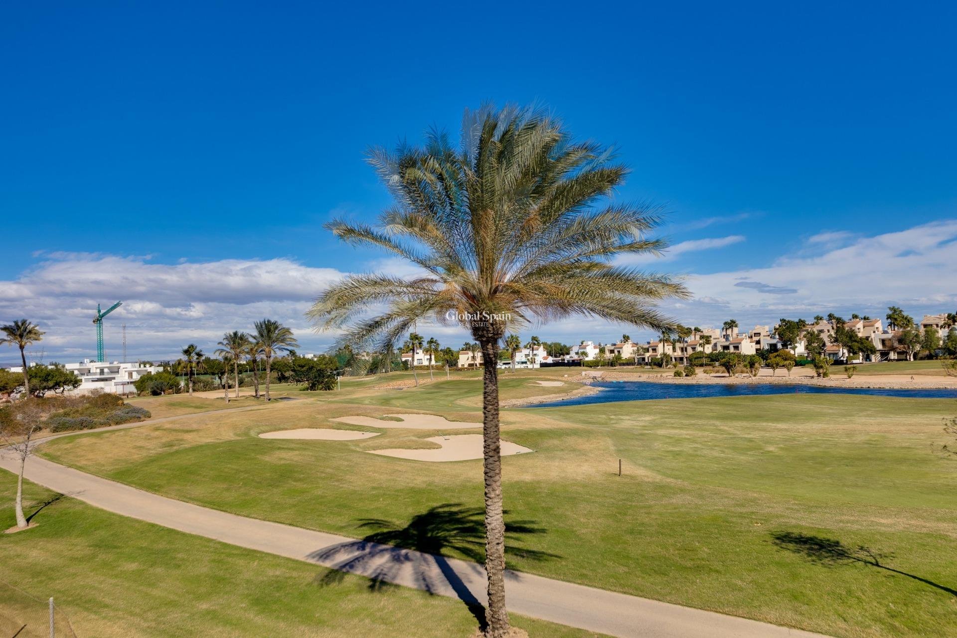 Nueva construcción  - VILLA -
PILAR DE LA HORADADA - Lo Romero Golf