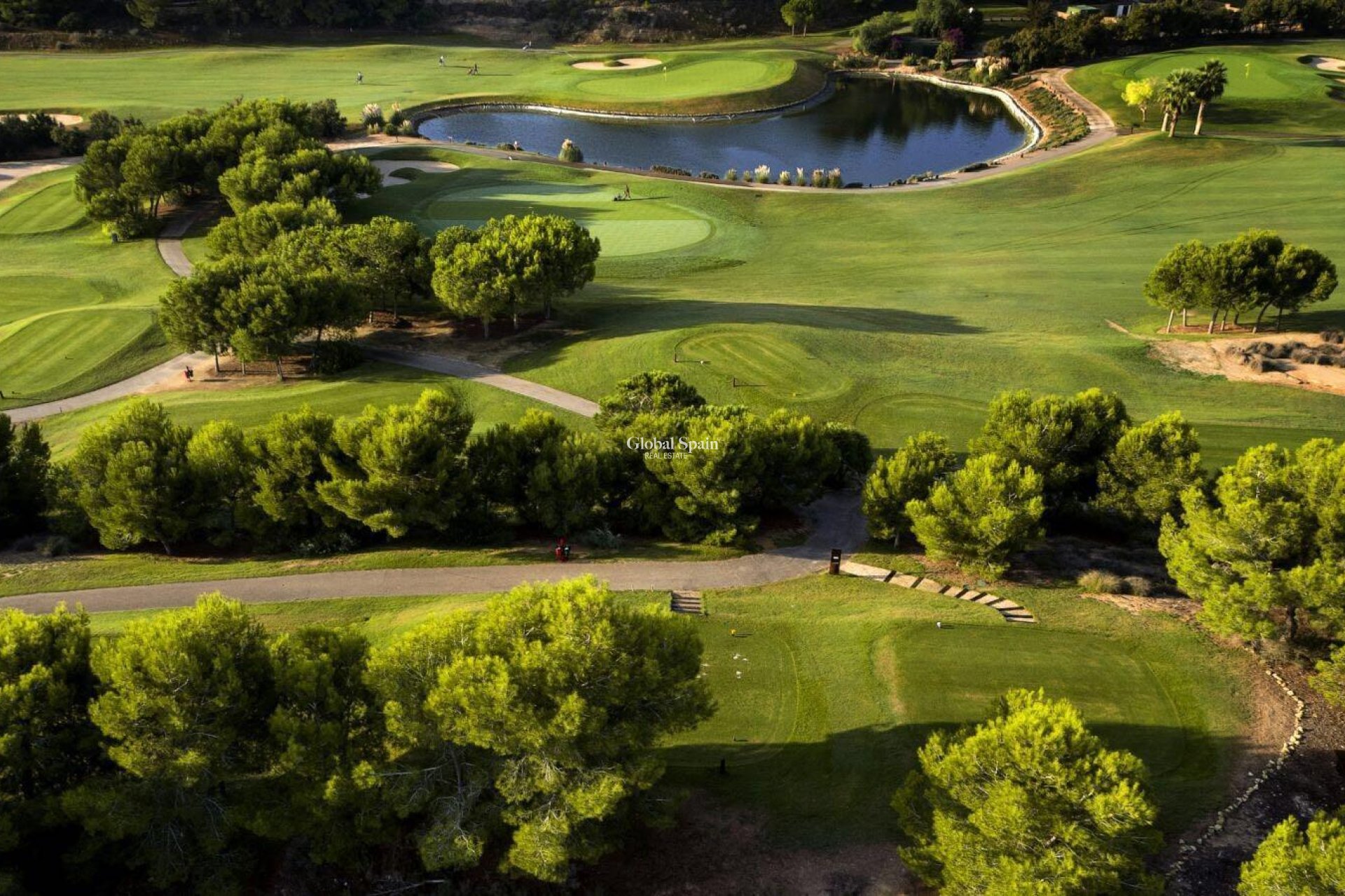 Nueva construcción  - VILLA -
PILAR DE LA HORADADA - Lo Romero Golf