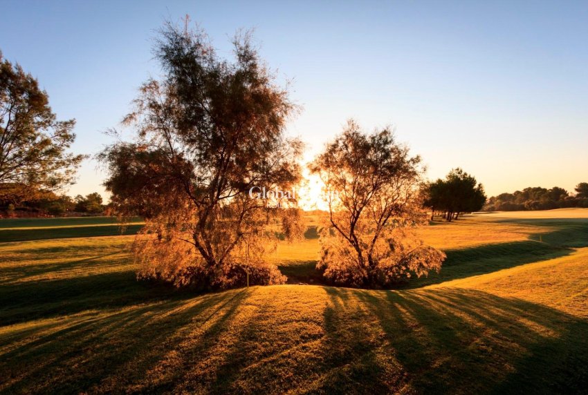 Nueva construcción  - VILLA -
PILAR DE LA HORADADA - Lo Romero Golf