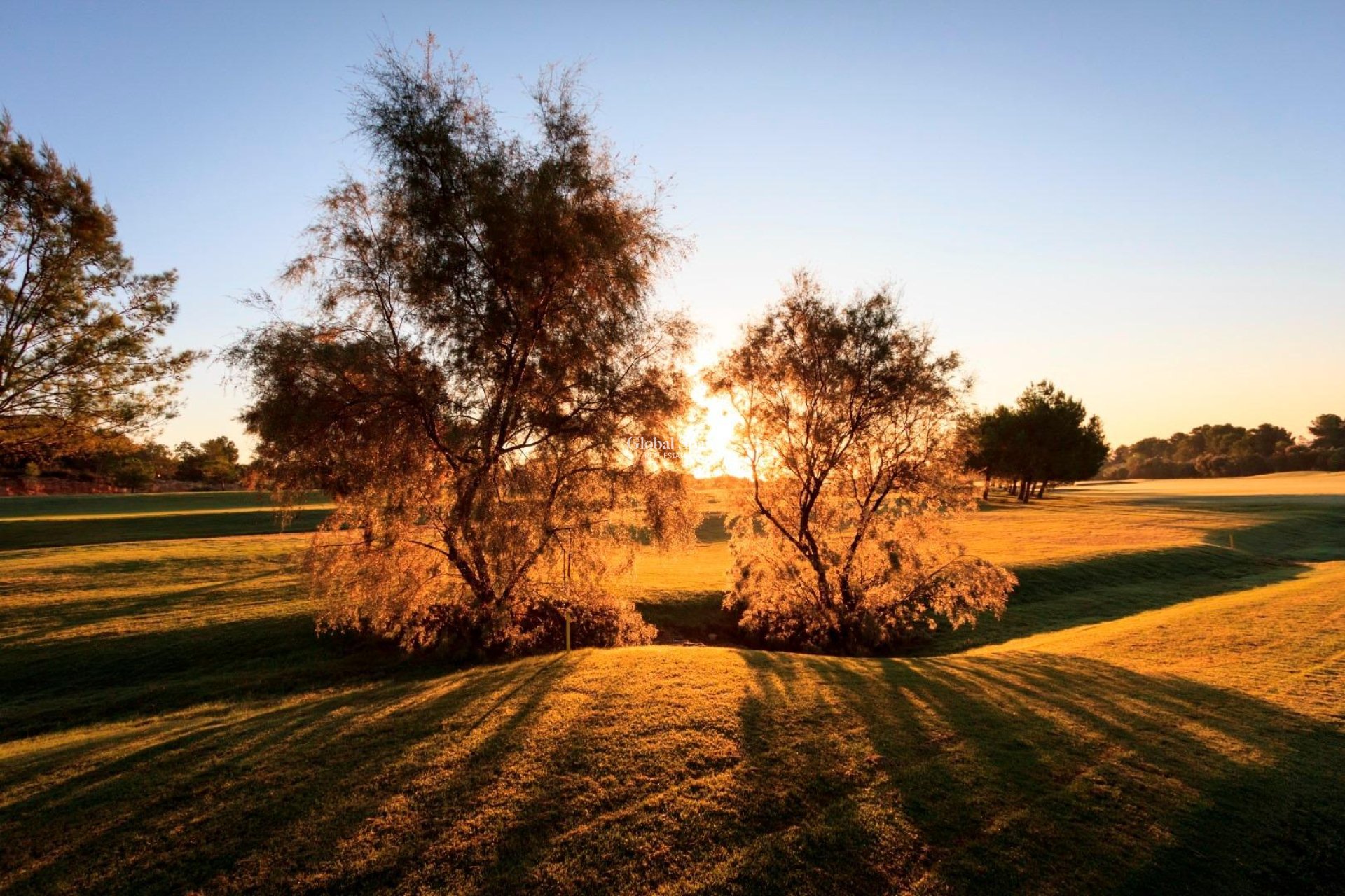 Nueva construcción  - VILLA -
PILAR DE LA HORADADA - Lo Romero Golf