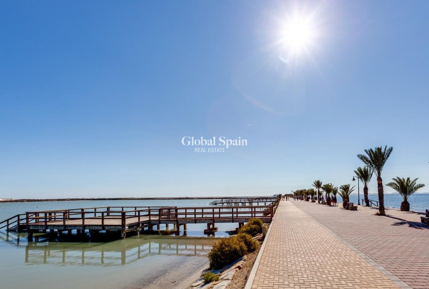 Nueva construcción  - Villa -
PILAR DE LA HORADADA - Pilar de la Horadada