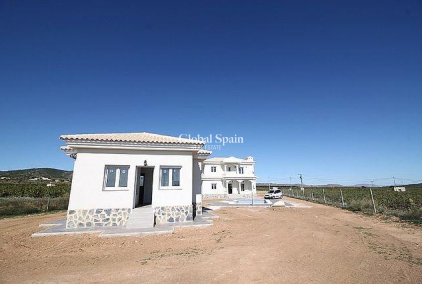 Nueva construcción  - Villa -
Pinoso - Camino Del Prado