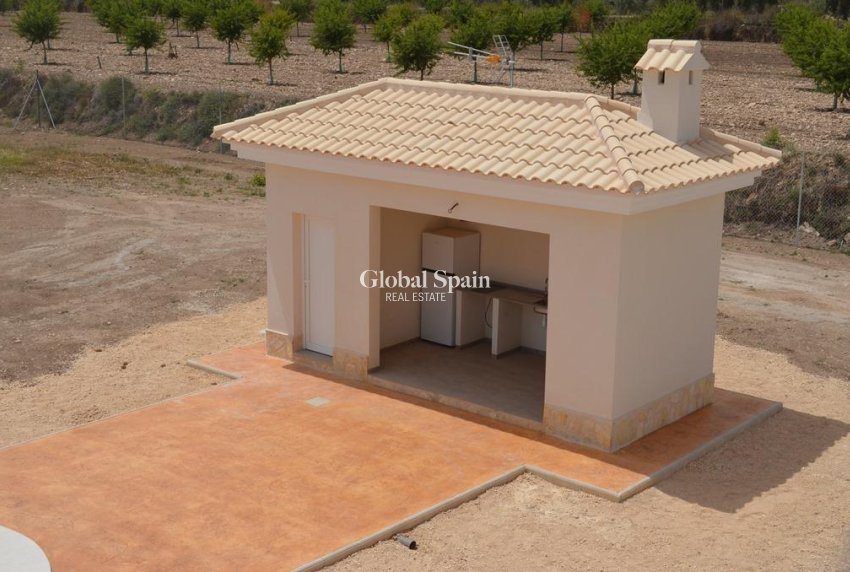 Nueva construcción  - Villa -
Pinoso - Camino Del Prado