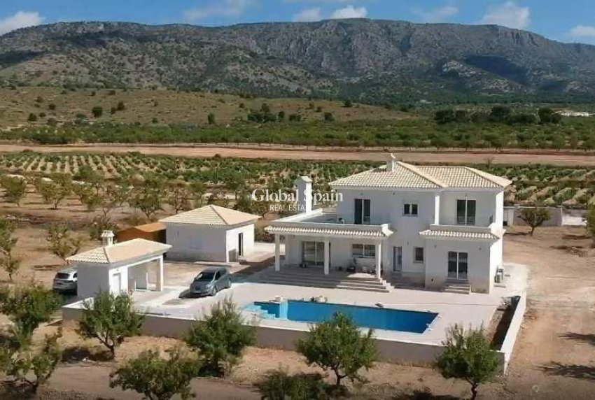 Nueva construcción  - VILLA -
Pinoso - Camino Del Prado