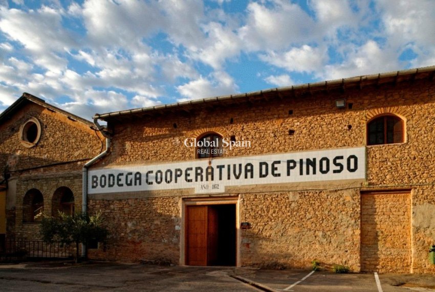 Nueva construcción  - Villa -
Pinoso - Lel