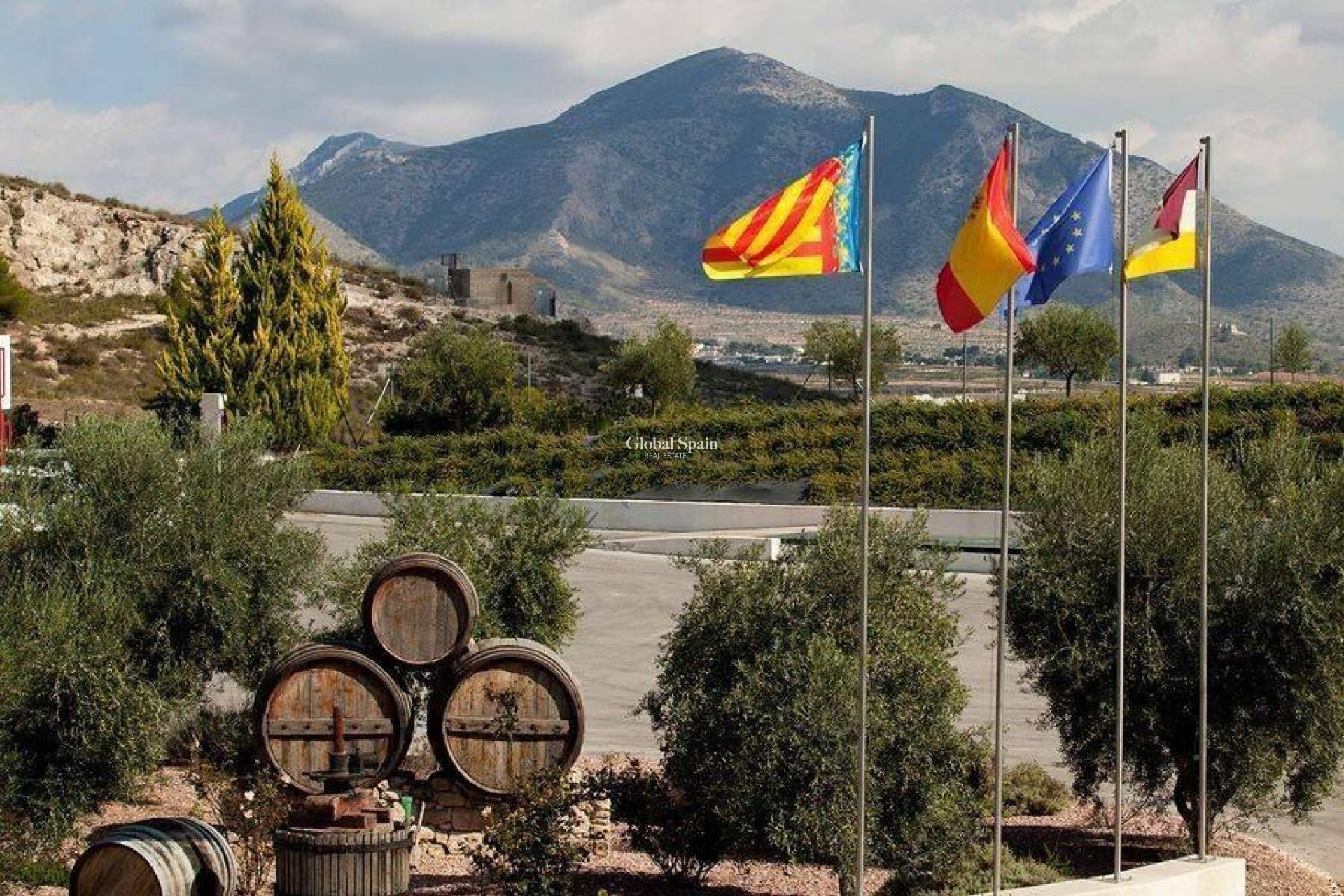 Nueva construcción  - Villa -
Pinoso - Lel