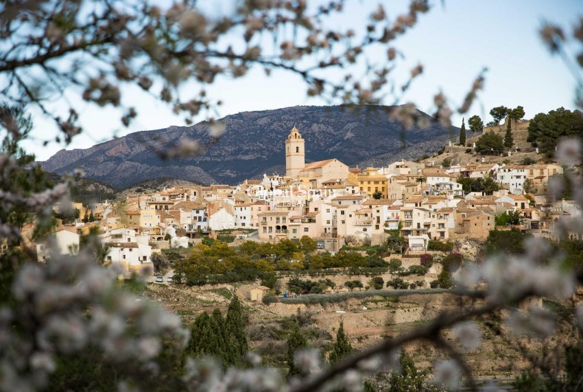 Nueva construcción  - VILLA -
POLOP - Polop Hills