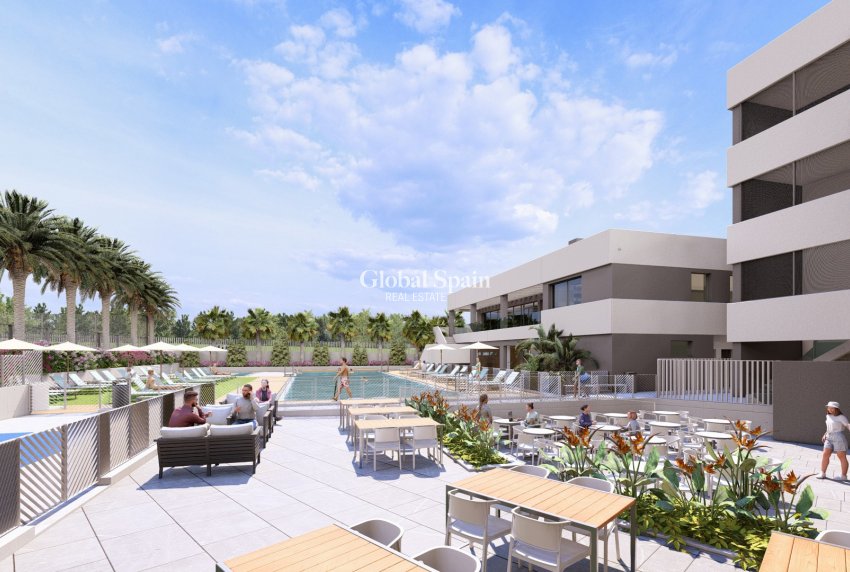 Nueva construcción  - VILLA -
TORREVIEJA