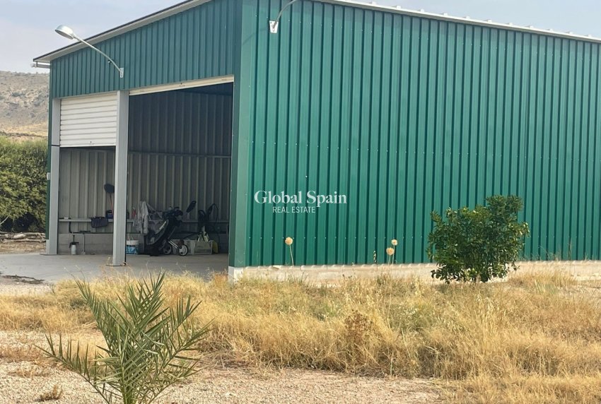 Odsprzedaż - 5. Finca / Nieruchomość wiejska -
Abanilla