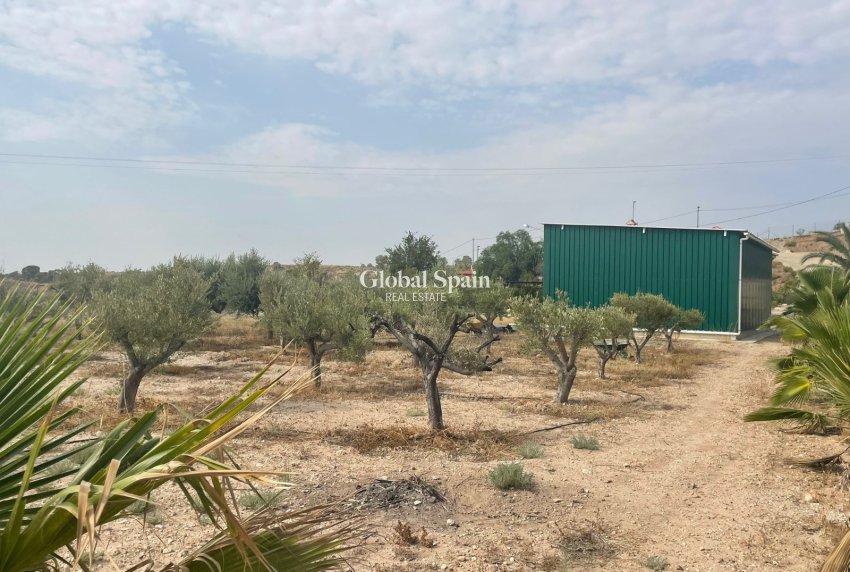 Odsprzedaż - 5. Finca / Nieruchomość wiejska -
Abanilla