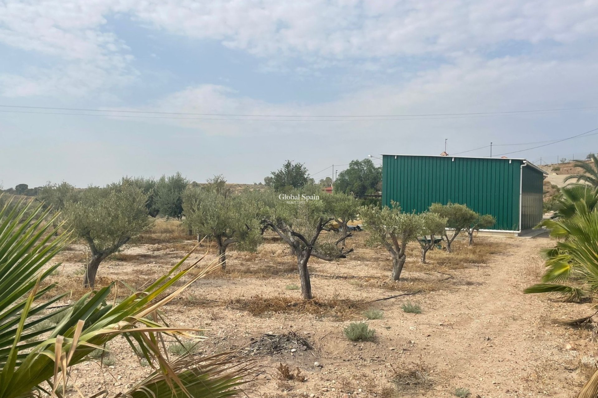 Odsprzedaż - 5. Finca / Nieruchomość wiejska -
Abanilla