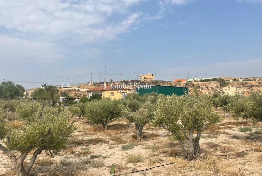 Odsprzedaż - 5. Finca / Nieruchomość wiejska -
Abanilla