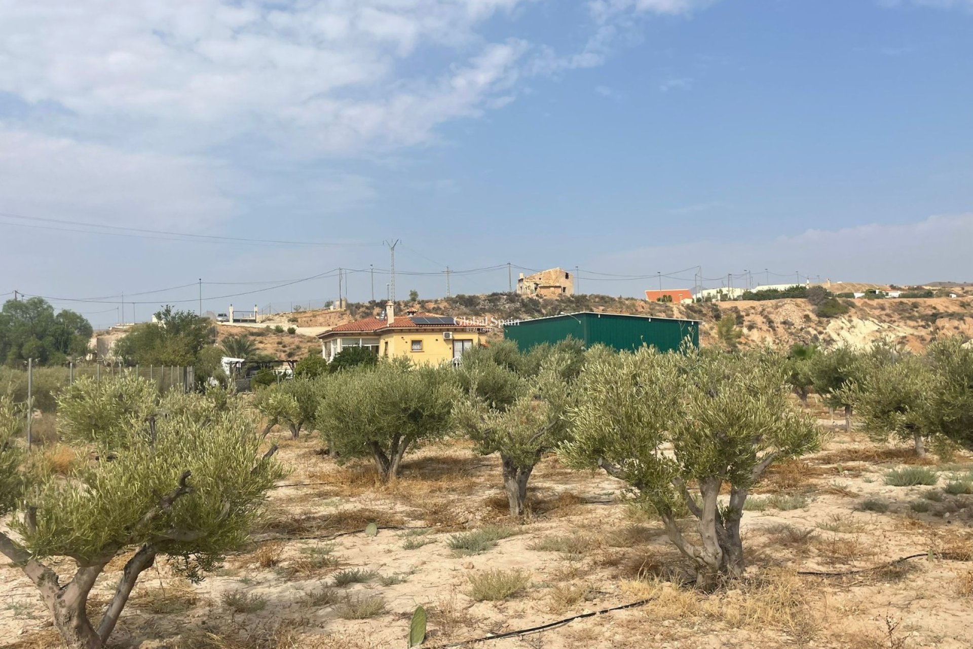 Odsprzedaż - 5. Finca / Nieruchomość wiejska -
Abanilla