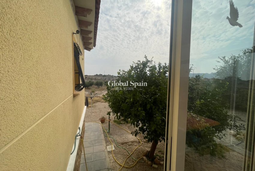 Odsprzedaż - 5. Finca / Nieruchomość wiejska -
Abanilla