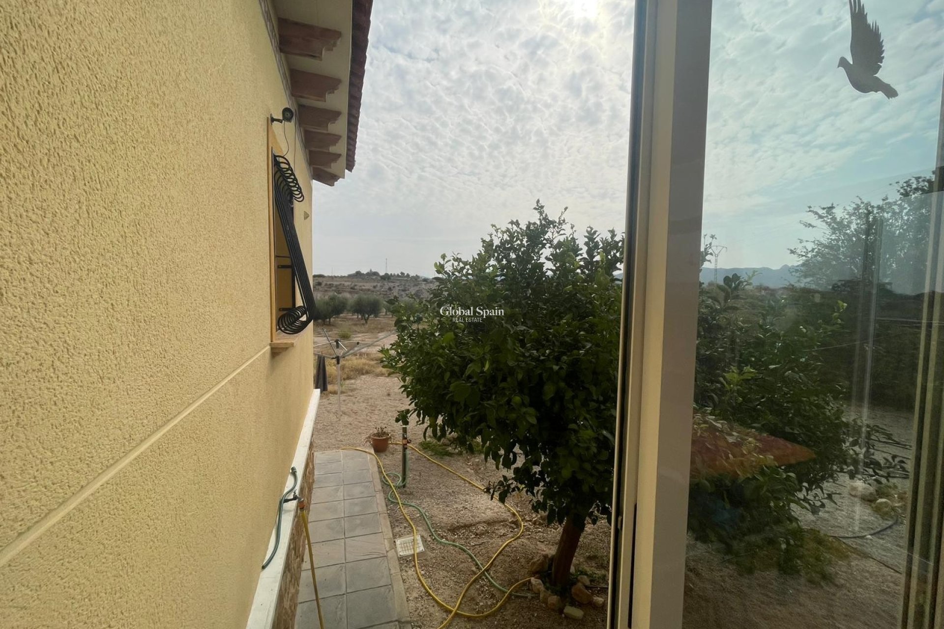 Odsprzedaż - 5. Finca / Nieruchomość wiejska -
Abanilla