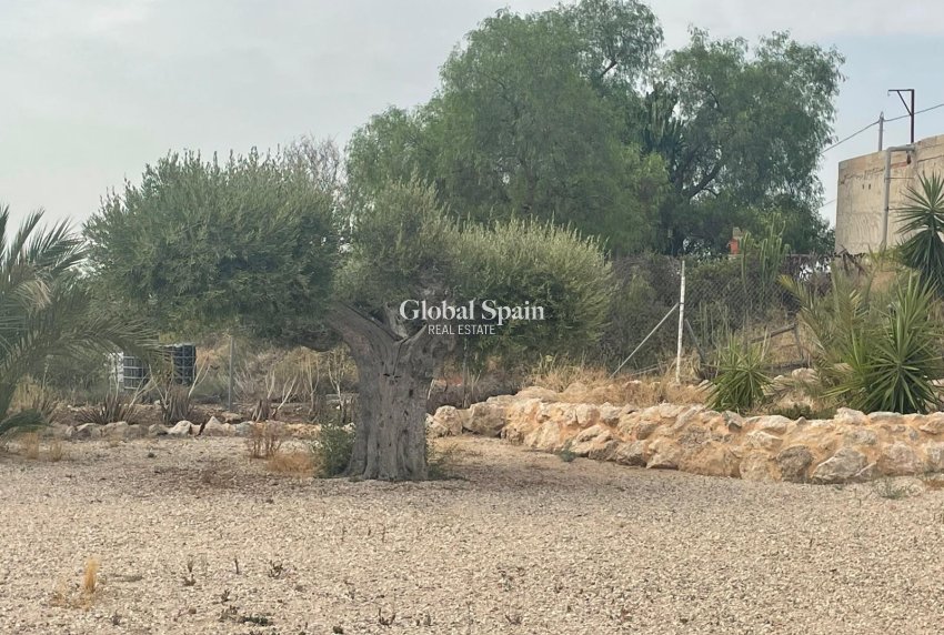 Odsprzedaż - 5. Finca / Nieruchomość wiejska -
Abanilla