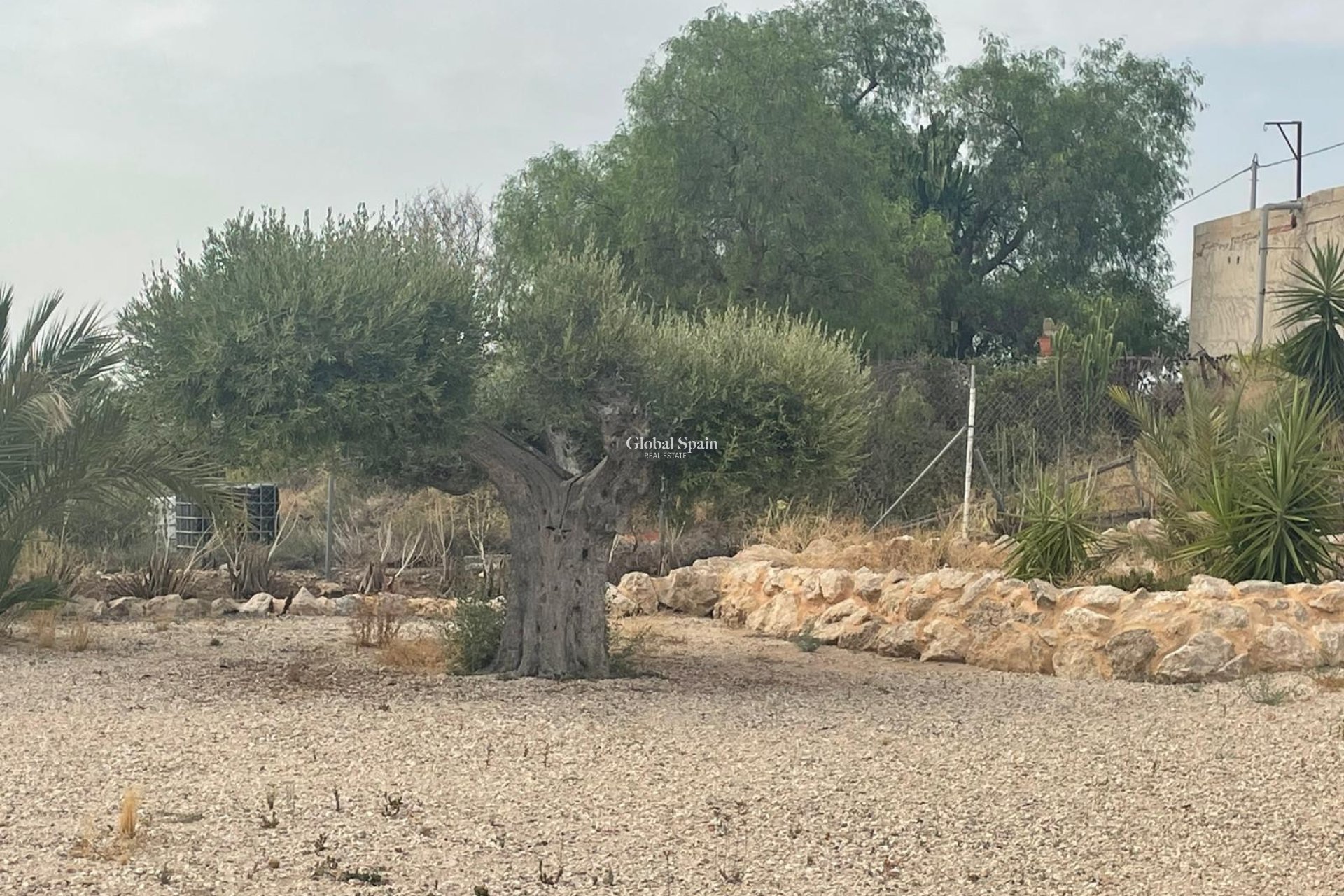 Odsprzedaż - 5. Finca / Nieruchomość wiejska -
Abanilla