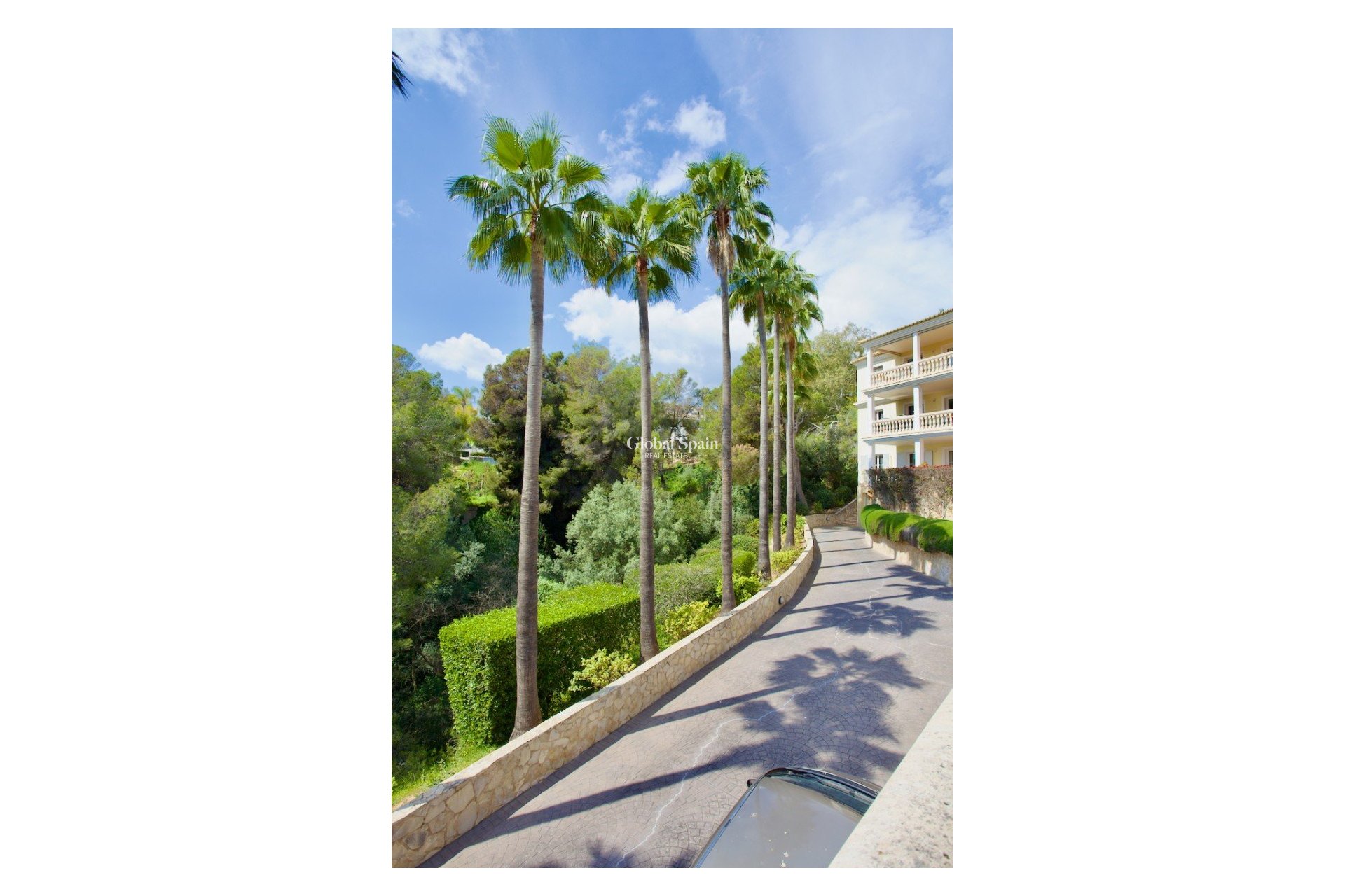 Odsprzedaż - Apartament - Parter -
Portals Nous - Calvià