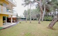 Odsprzedaż - Apartament - Sol de Mallorca - Calvià