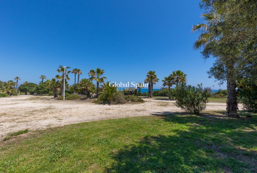 Odsprzedaż - Apartament -
TORREVIEJA - Cabo Cervera