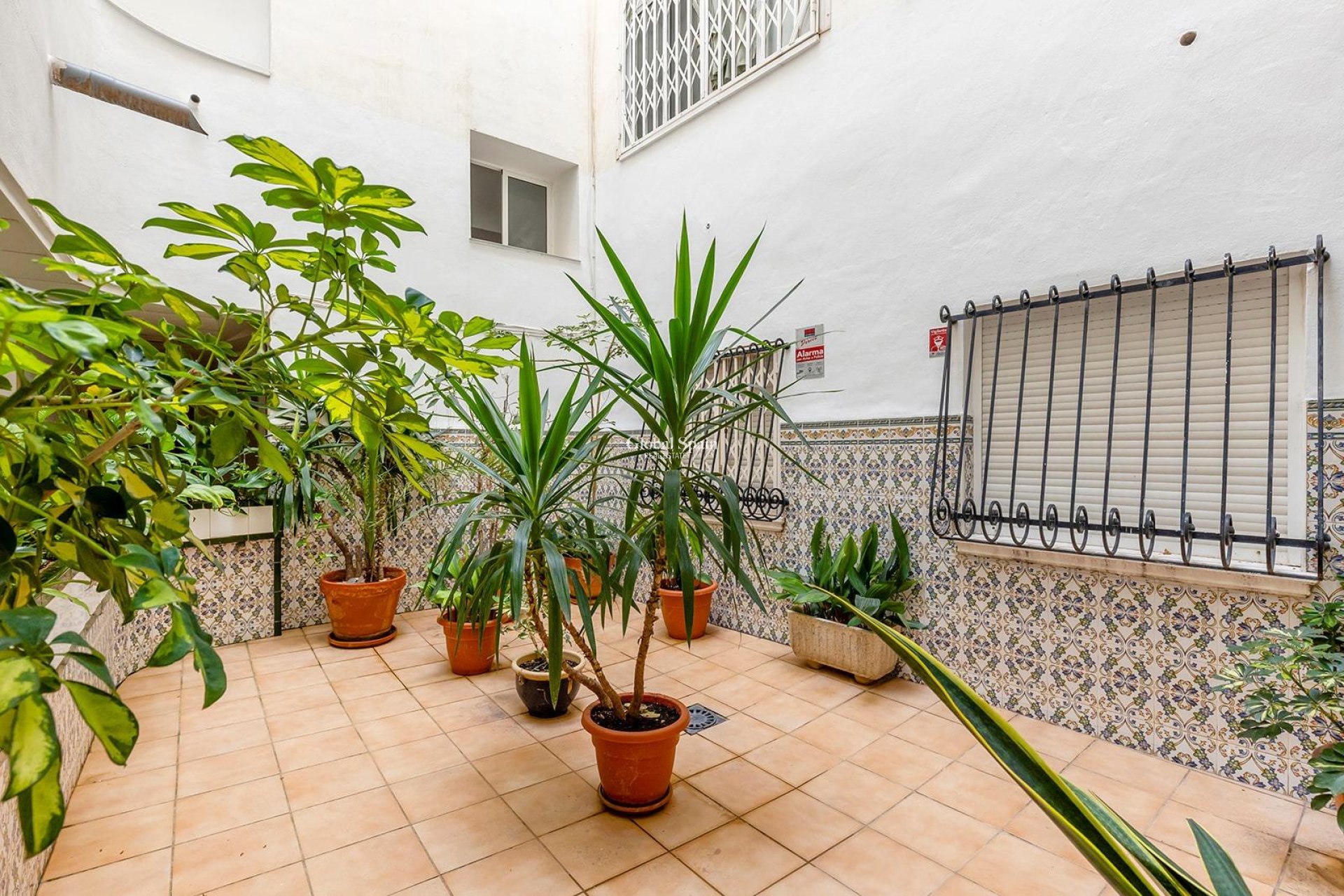 Odsprzedaż - Apartament -
TORREVIEJA - Estacion de autobuses