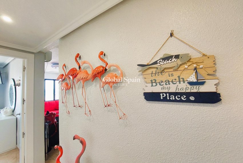 Odsprzedaż - Apartament -
TORREVIEJA - La Mata