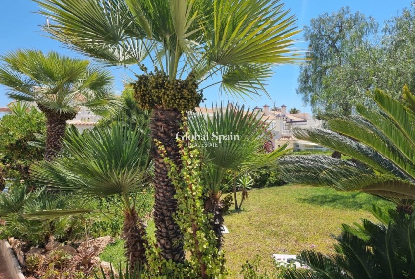 Odsprzedaż - Apartament -
TORREVIEJA - LOS BALCONES - LOS ALTOS