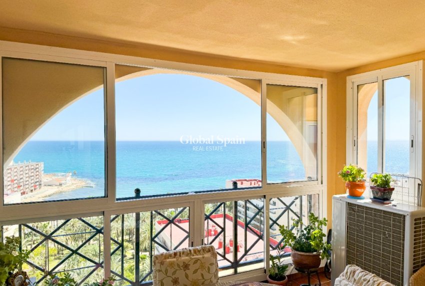 Odsprzedaż - Apartament -
TORREVIEJA - Torrevieja