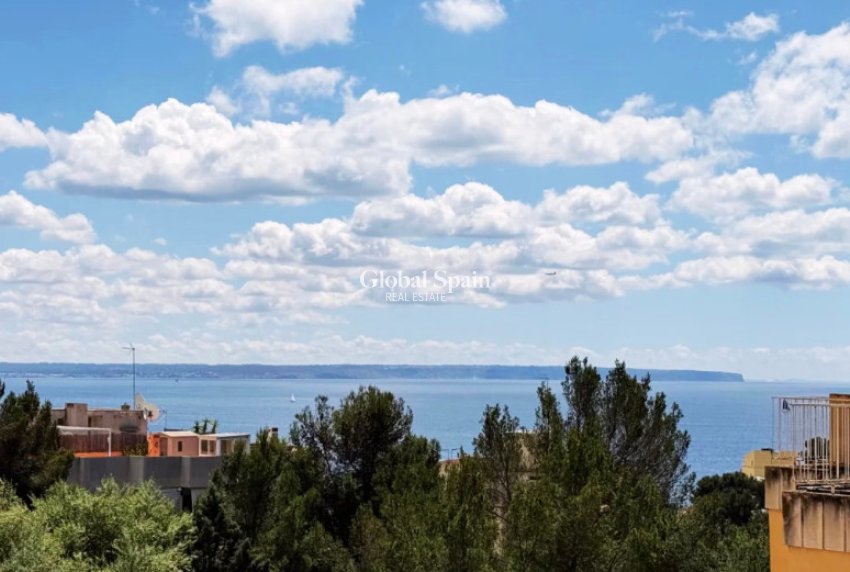 Odsprzedaż - Apartment -
PALMA - Sant Agustí