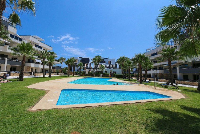 Odsprzedaż - Daszek -
LOS BALCONES - LOS ALTOS