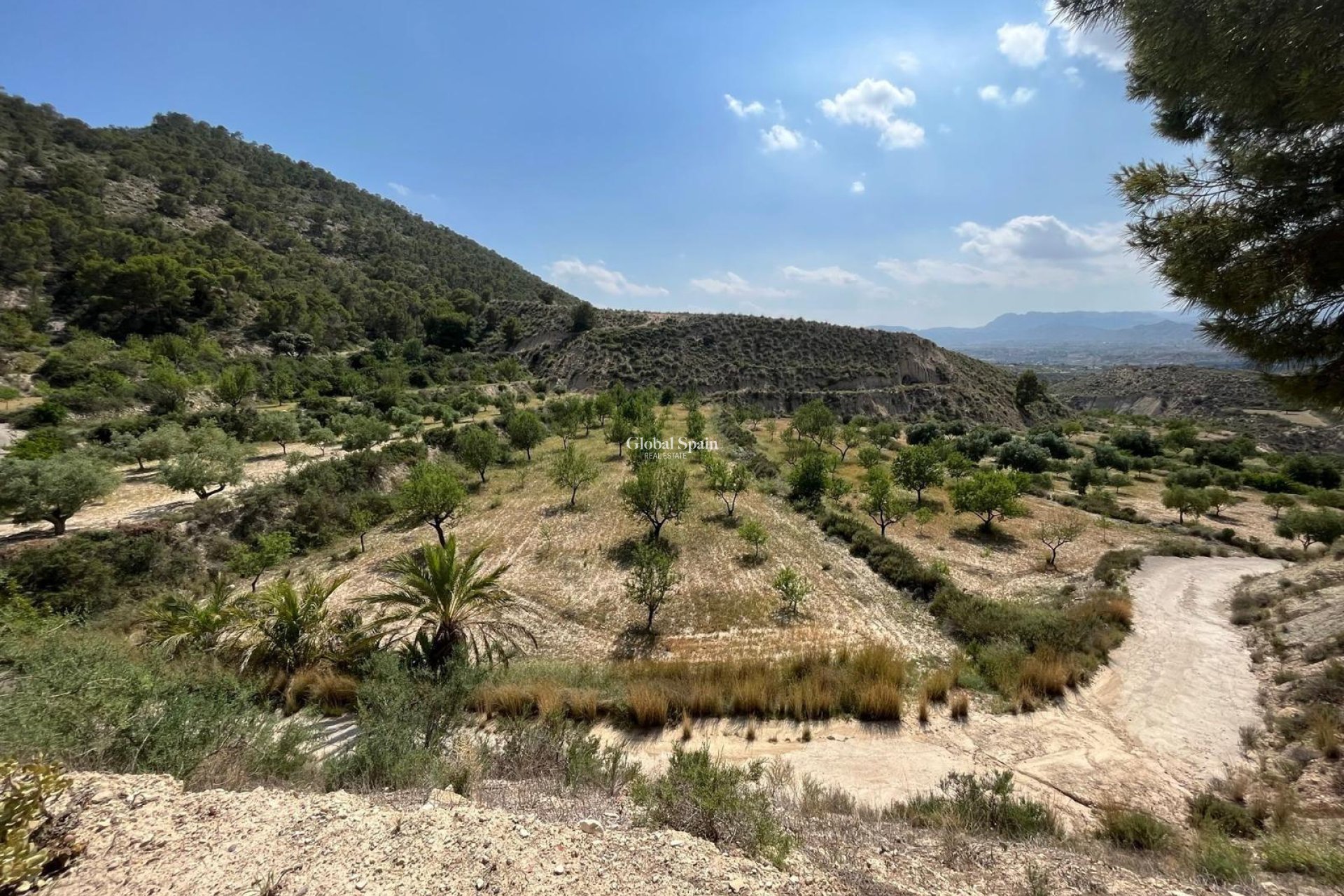 Odsprzedaż - DOM -
ABANILLA - El Partidor