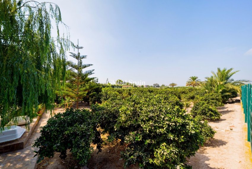 Odsprzedaż - DOM -
ALMORADÍ - Camino De Catral