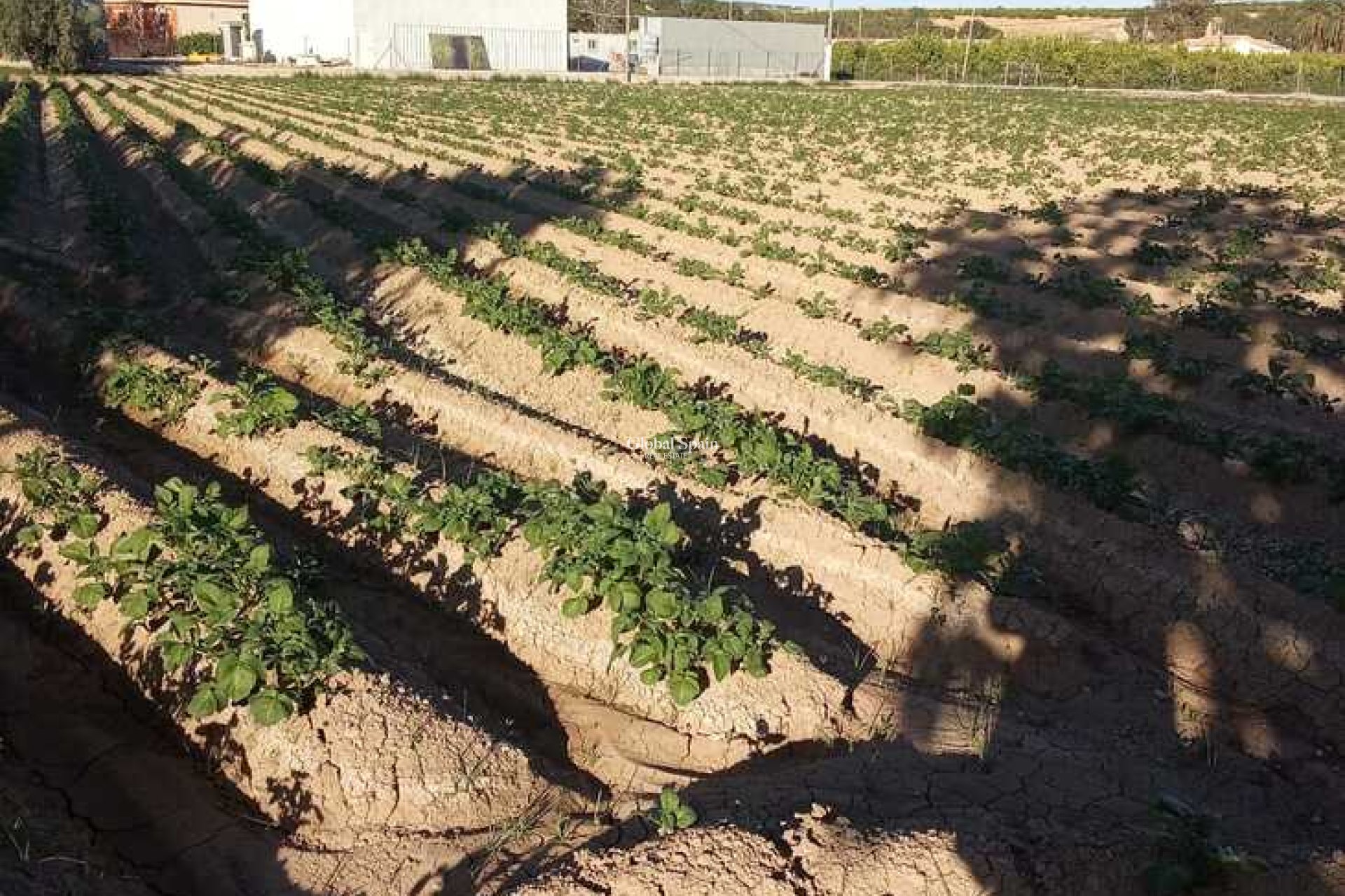 Odsprzedaż - DOM -
ARNEVA - LOS DESAMPARADOS