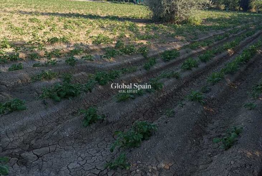 Odsprzedaż - DOM -
ARNEVA - LOS DESAMPARADOS