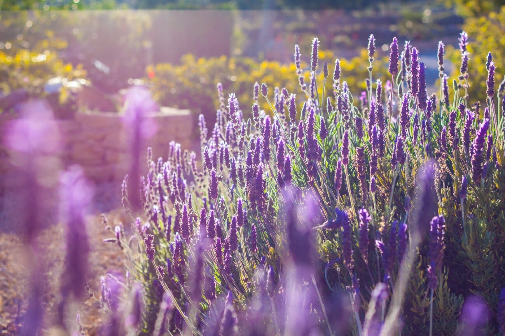 Odsprzedaż - DOM -
BENISSA - Costa Blanca
