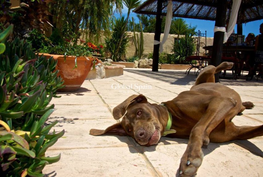 Odsprzedaż - DOM -
BENISSA - Costa Blanca